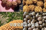 金刚菩提新手入门指南