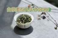 白茶新茶味道太青，老茶客都选择储存5年再饮用