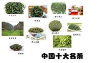 你能告诉我茶叶的种类有多少吗？