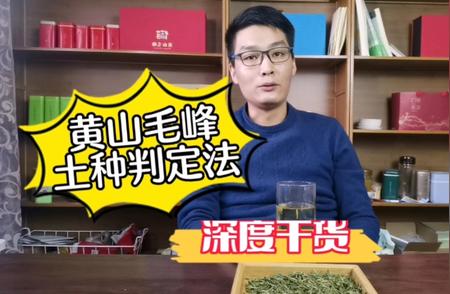 教你辨别正宗黄山毛峰茶叶的技巧