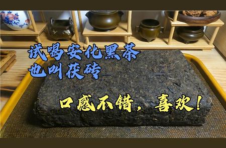 90后小伙钟情安化黑茶：茯砖魅力揭秘